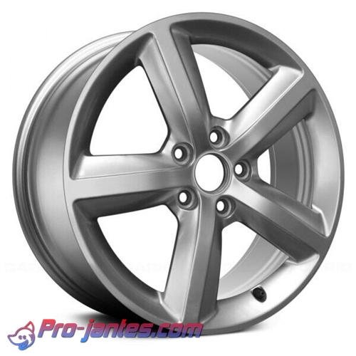 Jante Audi Rs6 Silver ET47 5X112 66,6 18"pouces